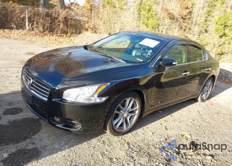2010 Nissan Maxima 3.5 Sv z USA, uszkodzony, nr VIN 1N4AA5AP9AC833604